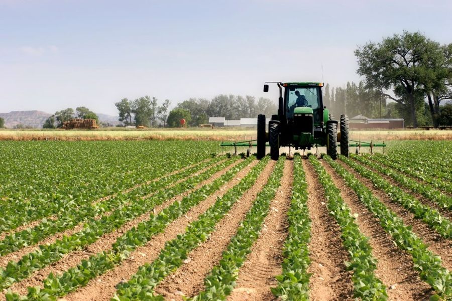 Tractor working a crop field